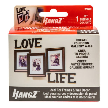 HangZ 3D Adjustable Wall Bracket 10-20lb 75000